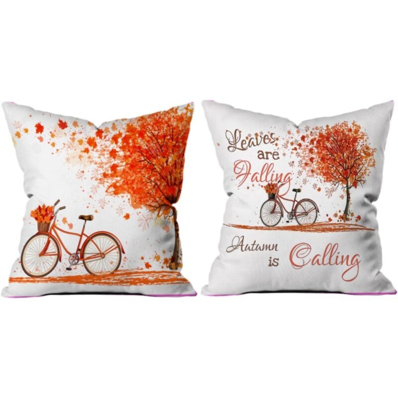 2'li Yastık Kırlent Kılıfı 300-06